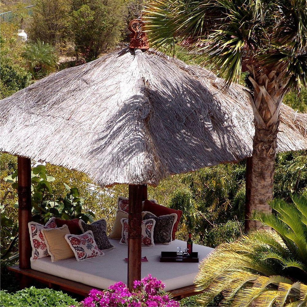 Anguilla'S Bird Of Paradise The Valley Luaran gambar