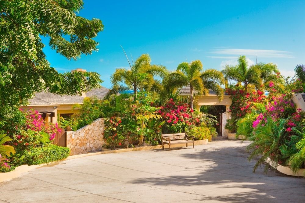 Anguilla'S Bird Of Paradise The Valley Luaran gambar