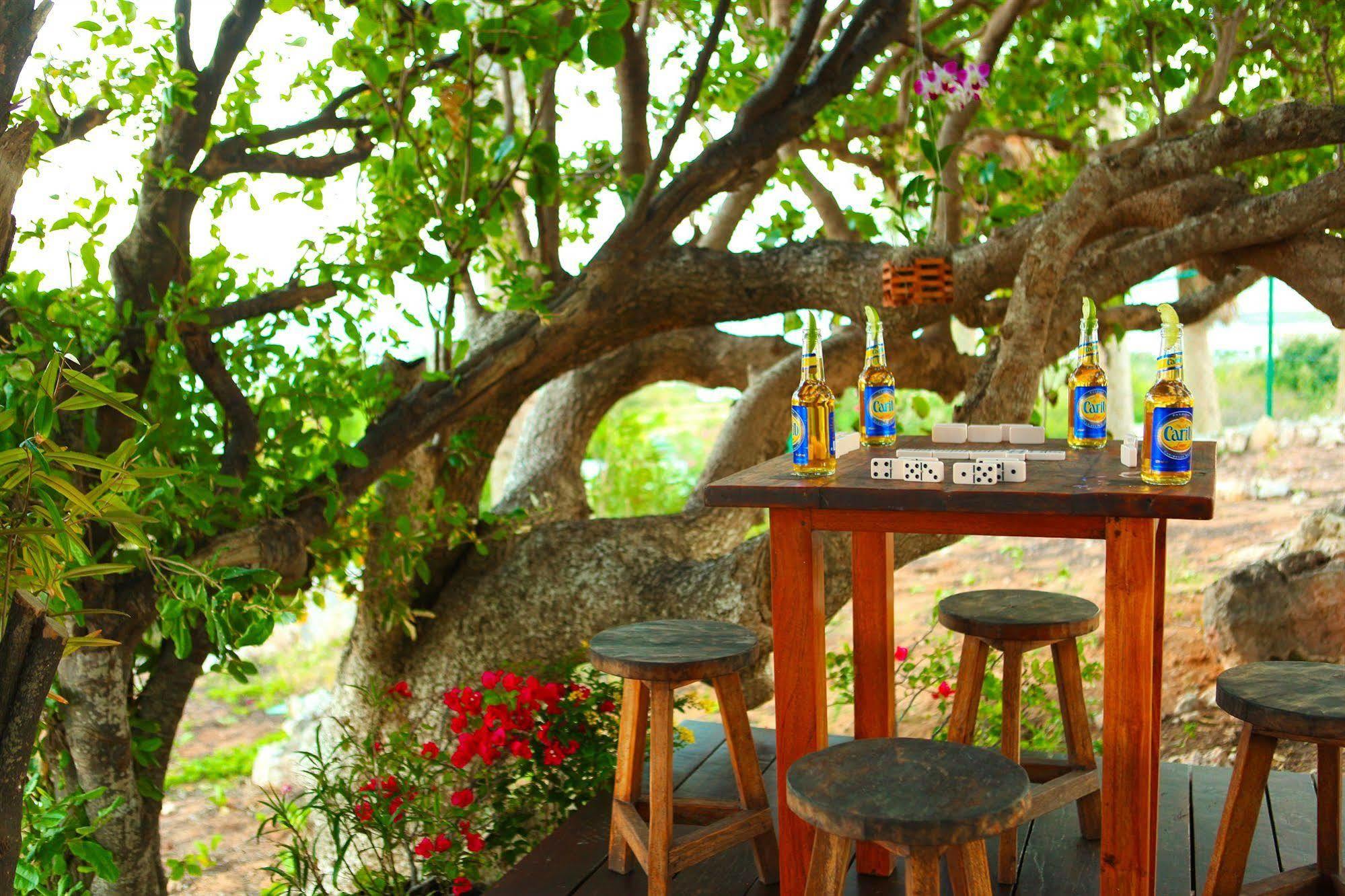 Anguilla'S Bird Of Paradise The Valley Luaran gambar